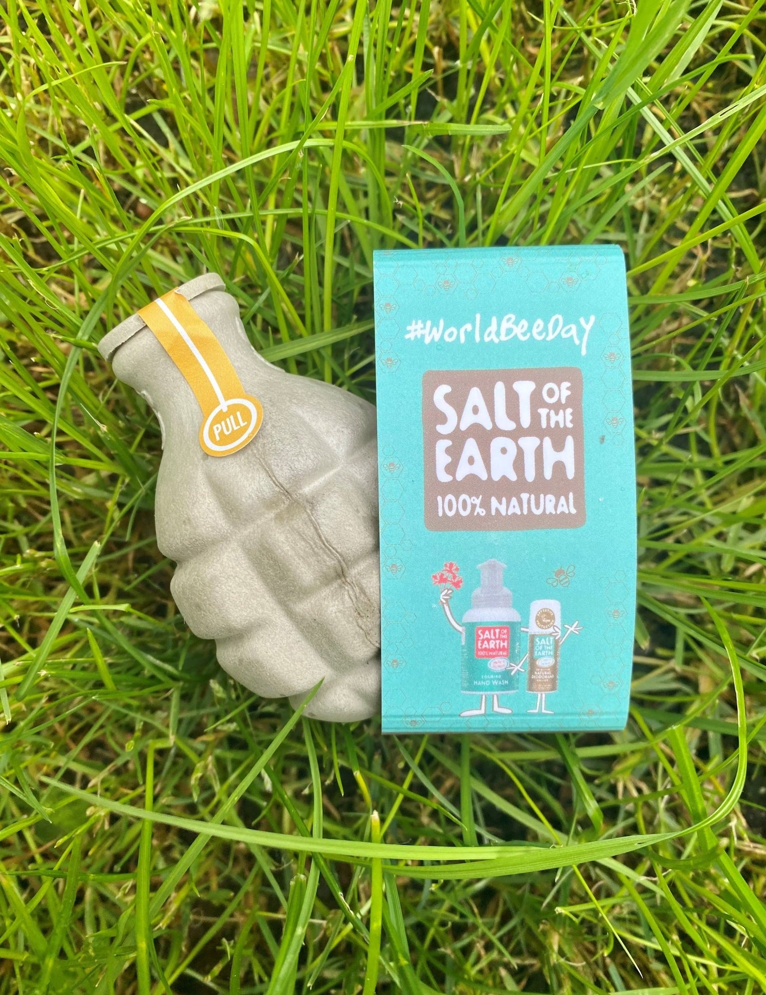 Celebrating World Bee Day with Salt of the Earth - Salt of the Earth Natural Deodorants