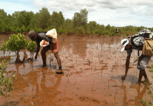 Tackling Climate Change with Salt of the Earth - Salt of the Earth Natural Deodorants