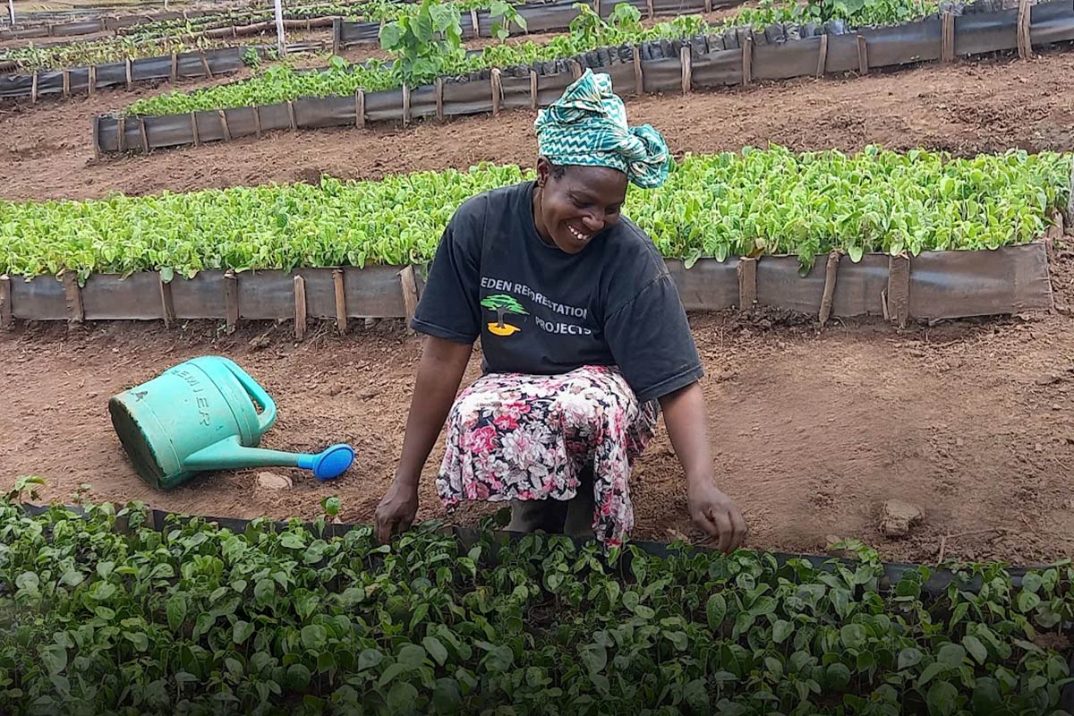 woman tending plants for eden restoration projects