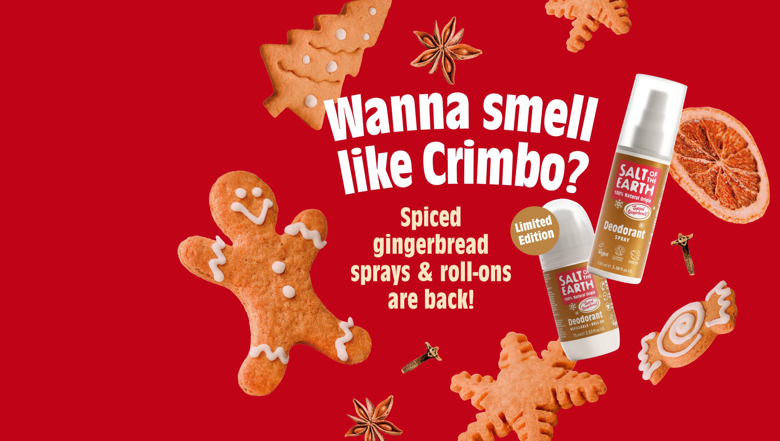 sote-xmas-2025-spiced-gingerbread-banner.jpg